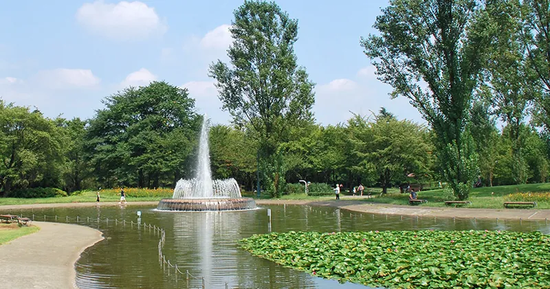 彩の森入間公園