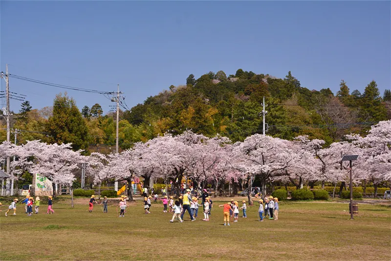 飯能中央公園