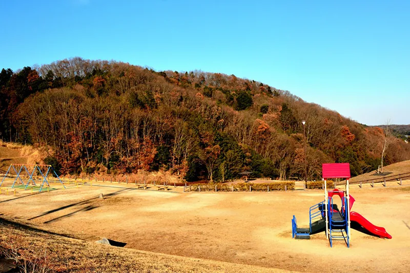 龍崖山公園