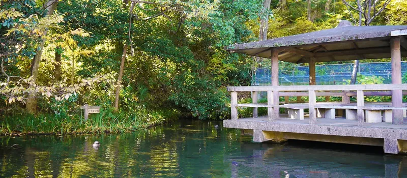 黒川清流公園