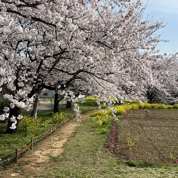 東松山市農林公園
