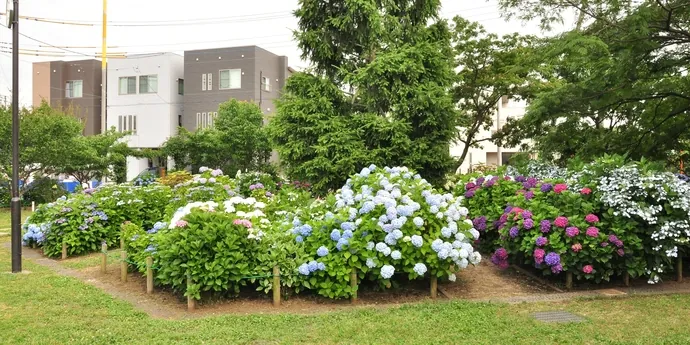 ねむのき公園