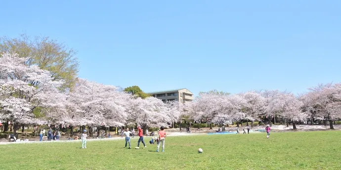 蕨市民公園