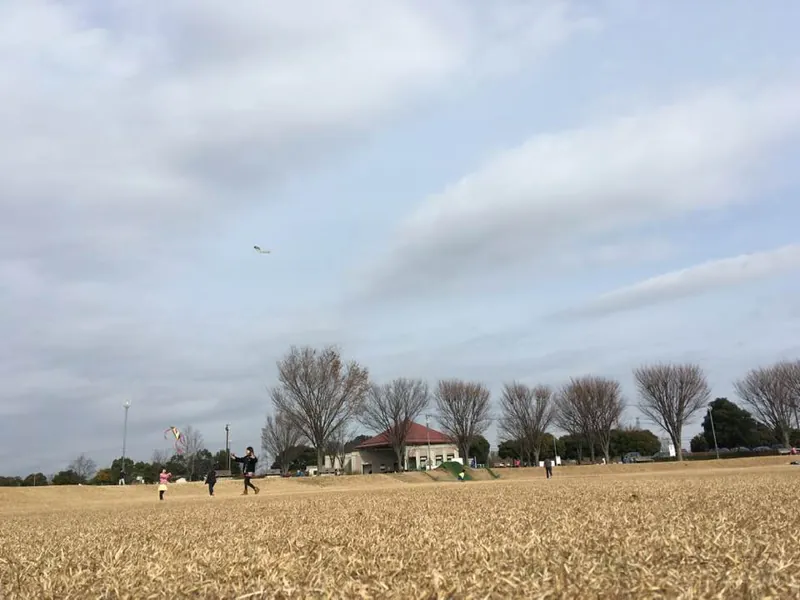 金原運動公園 はらっパーク宮代