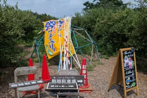 ファームてんとうむし ブルーベリー農園 1