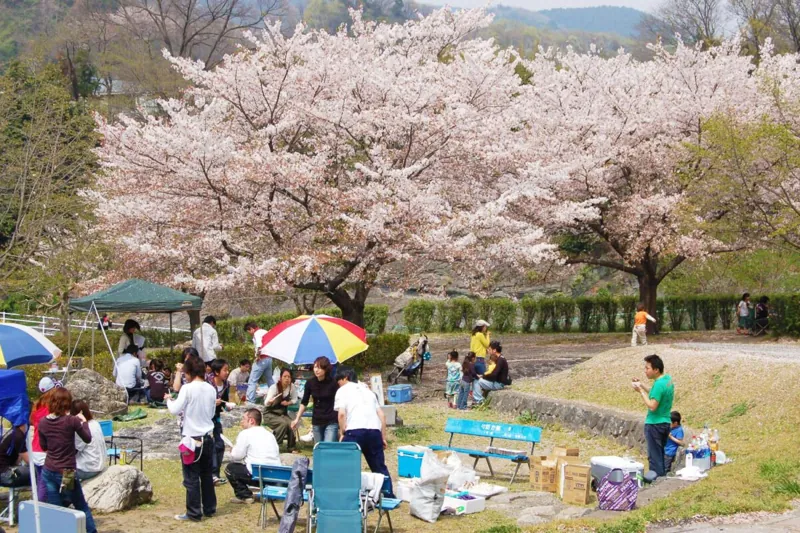 神流  川水辺公園 1