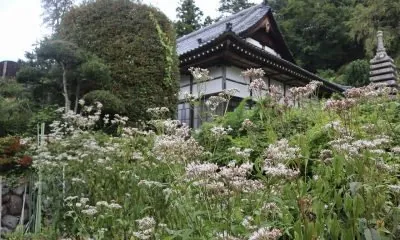 長 瀞岩畳 2