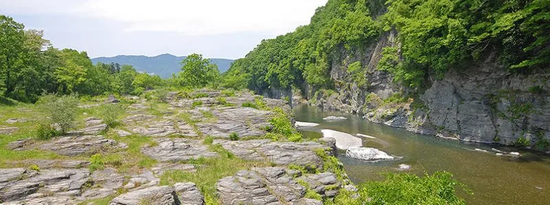埼玉県立自然の博物館 2