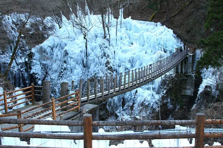 尾ノ内渓谷氷柱 1