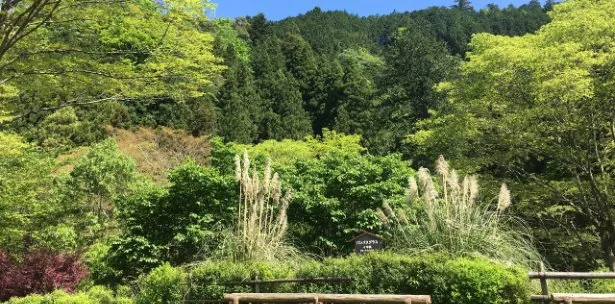 夕やけ小やけふれあいの里 2