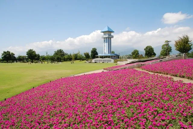 赤坂台総合公園 (ドラゴンパーク)