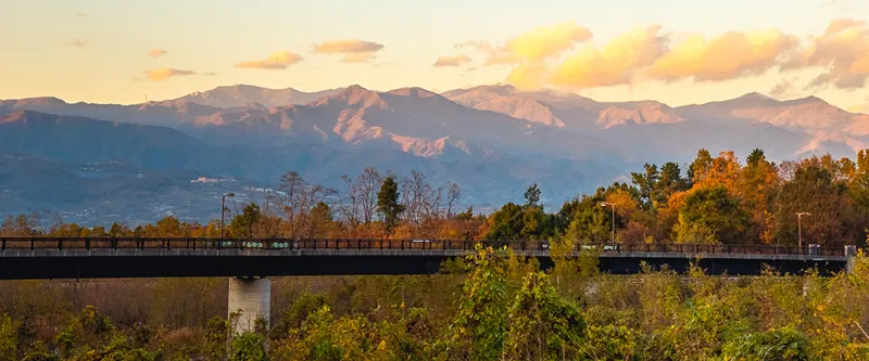 山梨県森林公園金川の森