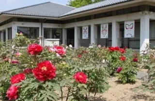 歌舞伎文化公園 2