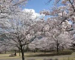 富士川クラフトパーク 2