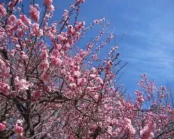 富士川クラフトパーク 3