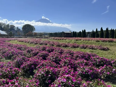 花の都公園