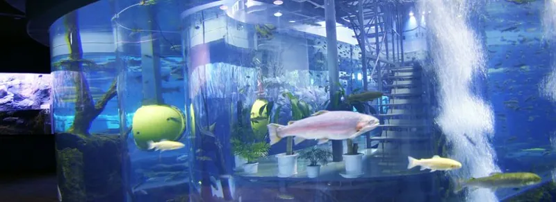 山梨県立富士湧水の里水族館 森の中の水族館 3