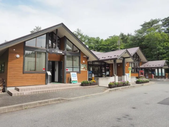 西湖コウモリ穴
