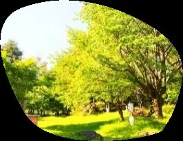 群馬県立森林公園赤城ふれあいの森 2