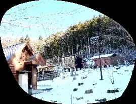 群馬県立森林公園赤城ふれあいの森 3