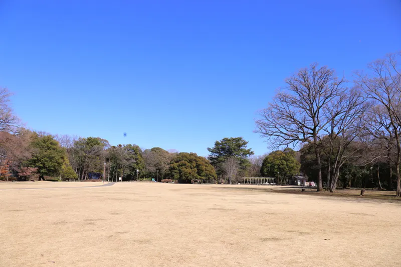 群馬の森