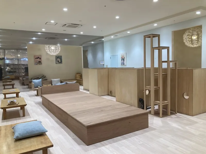 Cat Café MOFF 高崎オーパ店