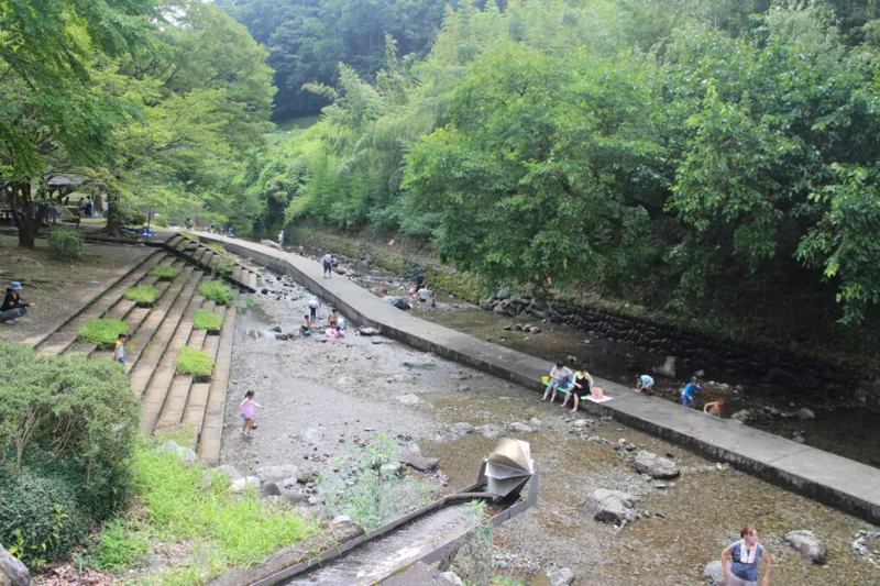 小平の里親水公園