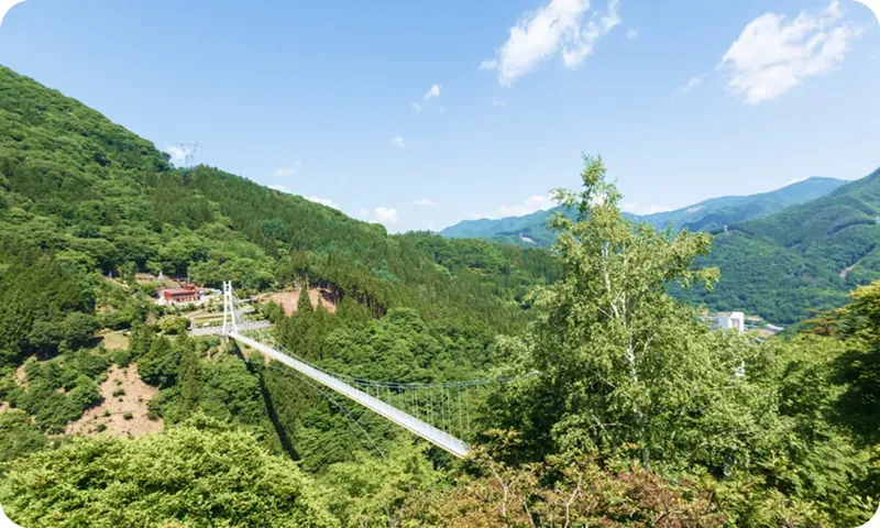 上野スカイブリッジ