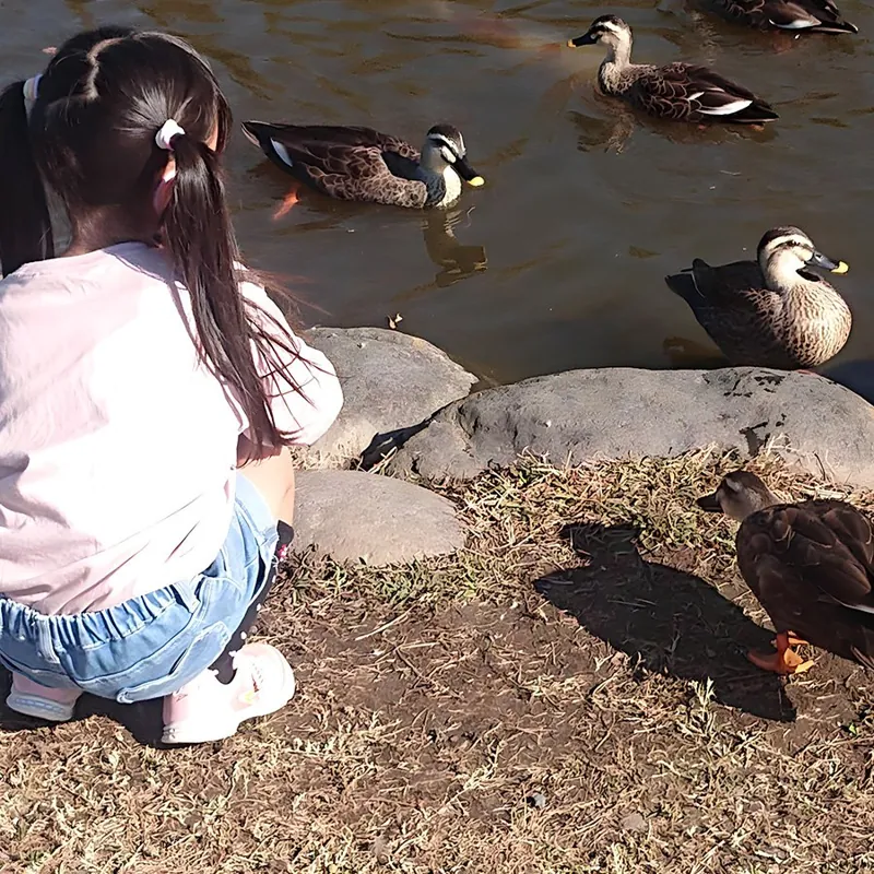 玉村町北部公園 2