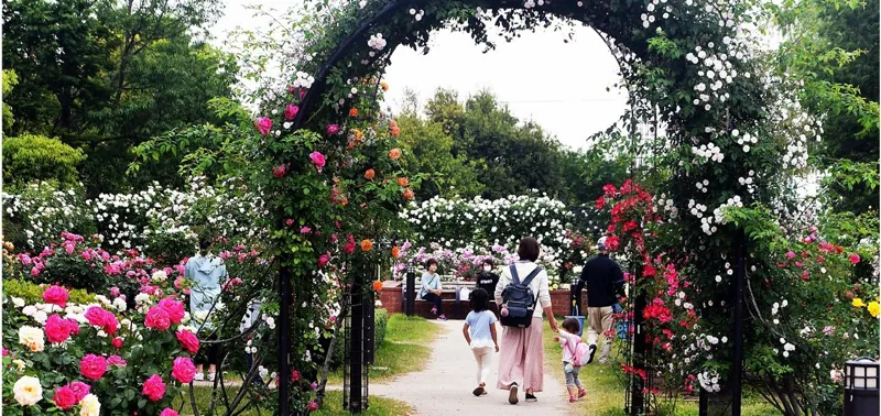 玉村町東部スポーツ広場公園 3