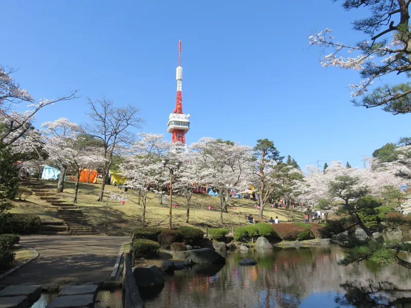 八幡山公園