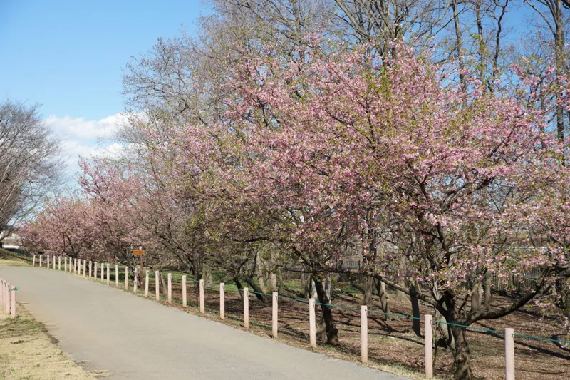 みずほの自然の森公園