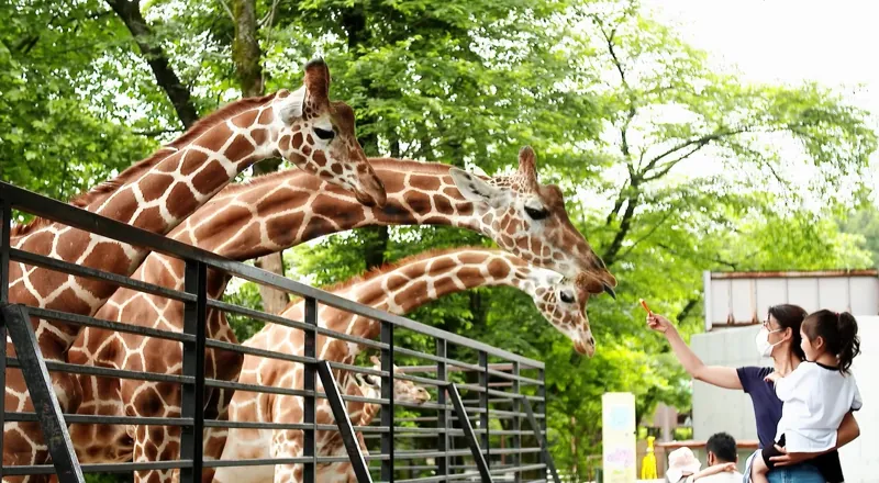 宇都宮動物園