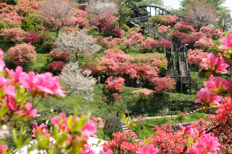 あわの城山公園