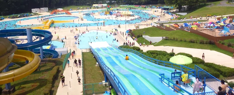 井頭公園一万人プール