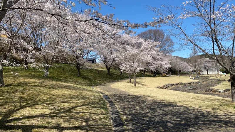 清水川せせらぎ公園