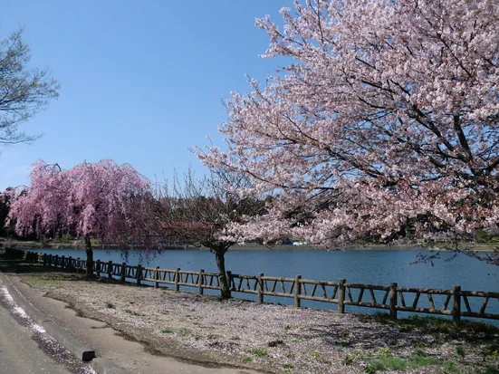 唐桶宗山公園