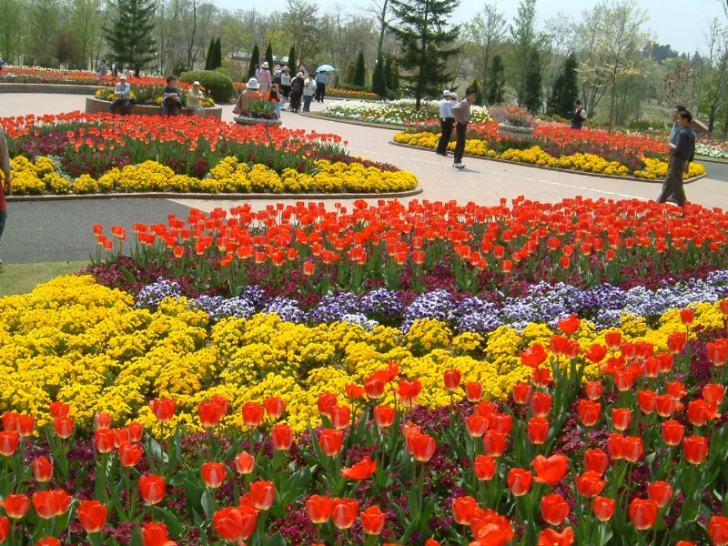 とちぎわんぱく公園