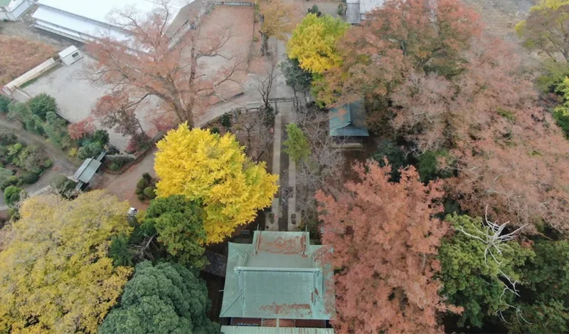 野木神社 2