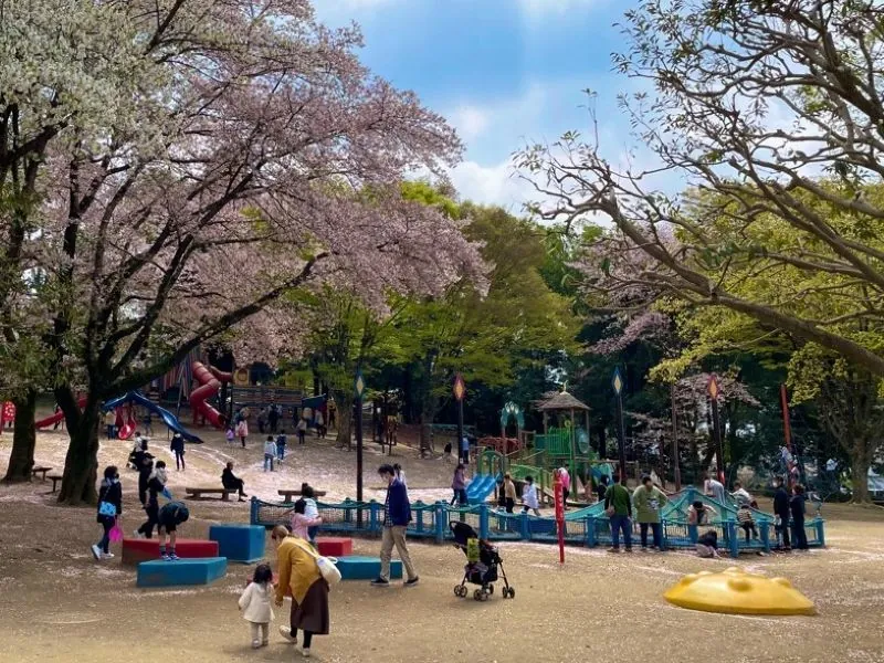 千波公園 少年の森