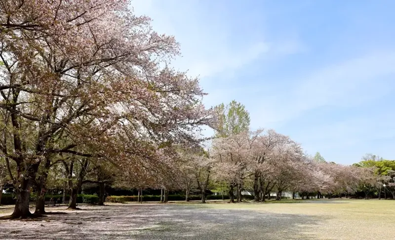 立沢公園