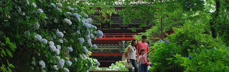 雨引観音(雨引山楽法寺)