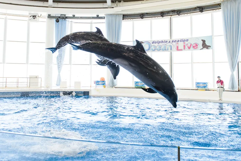 アクアワールド茨城県大洗水族館