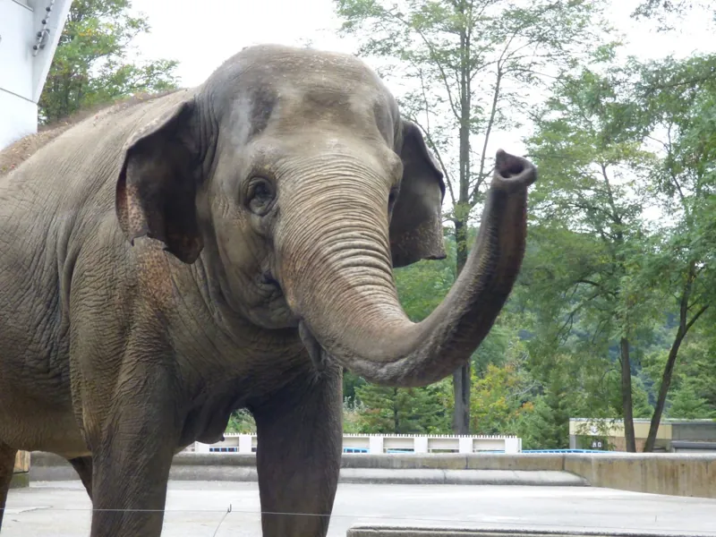 長野市茶臼山動物園 2