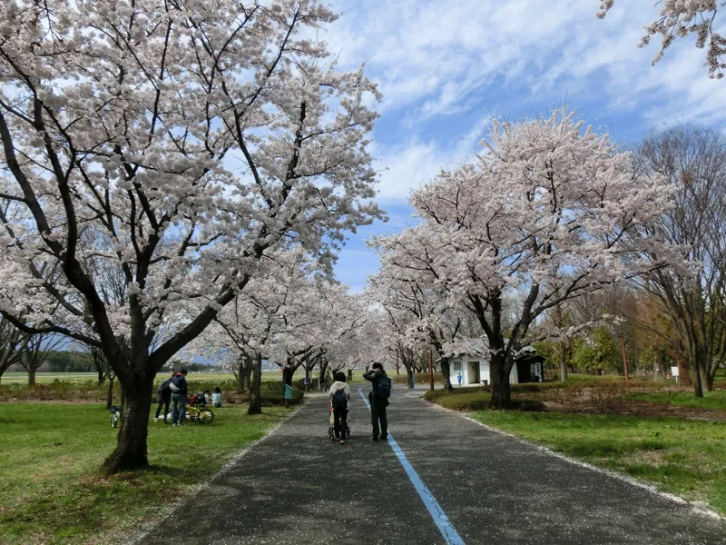 長野県松本平広域公園 信州スカイパーク