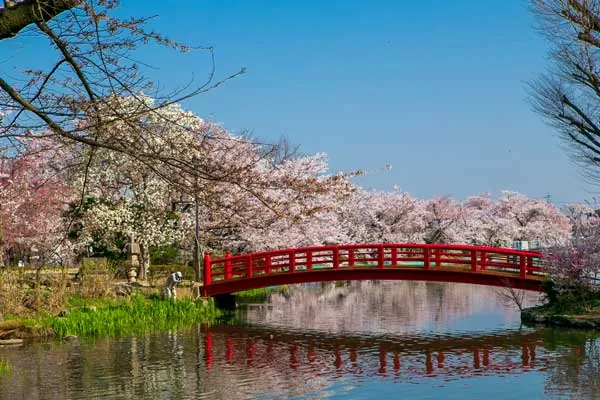 臥竜公園