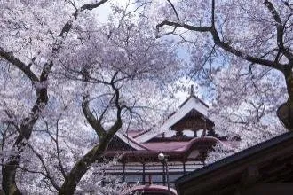 高遠城址公園 2