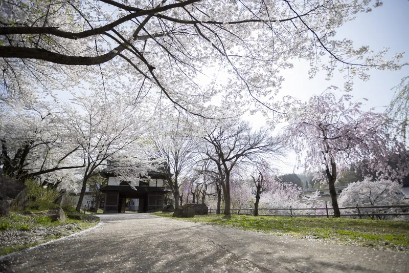 飯山城址公園