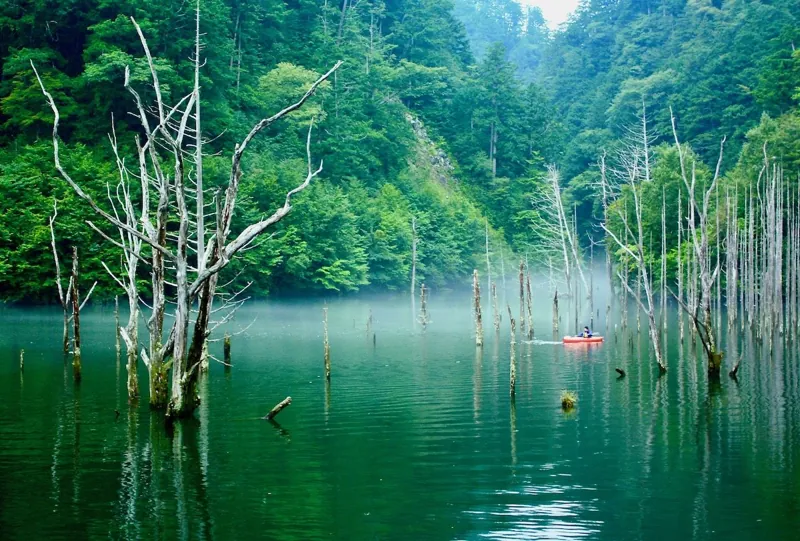 自然湖 3