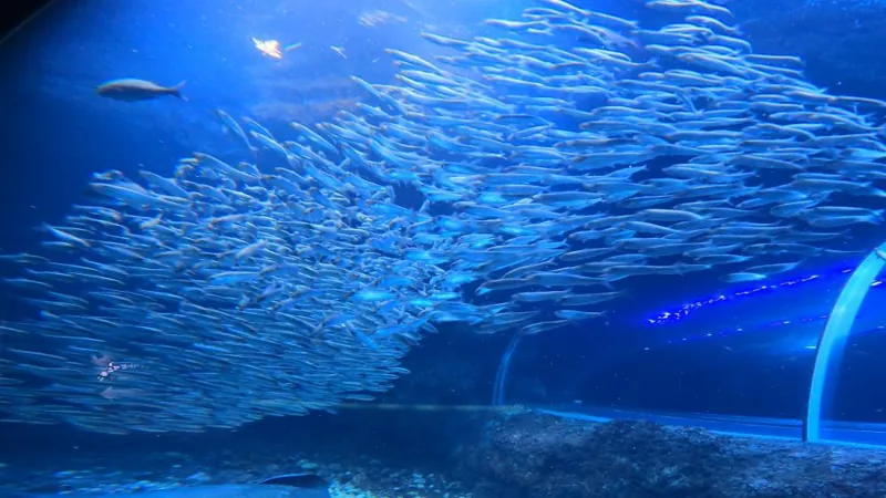 新潟市水族館 マリンピア日本海